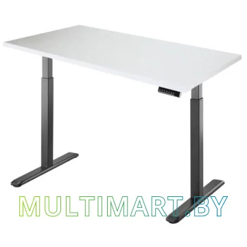 Стол для работы стоя ErgoSmart Electric Desk 1360x800x36 мм (альпийский белый/черный)